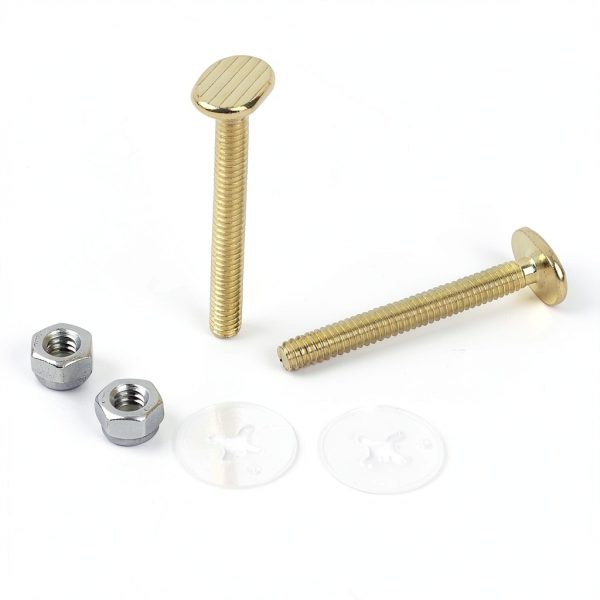 Toilet Floor Bolt Set Xiamen XinsenYue TBOWTF01-4