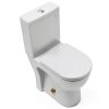 Toilet Bolt Cover Solaradgy Gold Elephant Ceramic MTLS001 Set-5