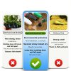 Aquarium Glue Veythor 6Pcs Instant Coral Adhesive Quick Dry Waterproof-6