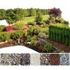 Rock Glue 1 Gallon Landscape Binder with Sprayer Shabebe 99% Adhesion-8