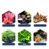 Aquarium Glue Bondtech Reef Adhesive 5g 2 Pack Freshwater & Saltwater-4