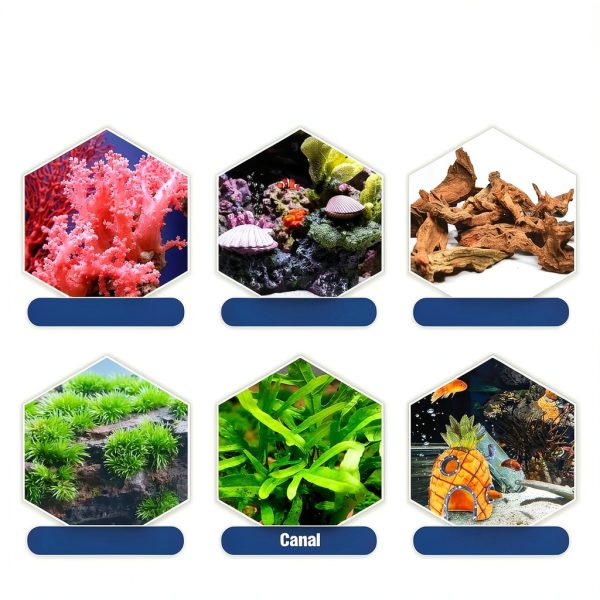 Aquarium Glue Bondtech Reef Adhesive 5g 2 Pack Freshwater & Saltwater-4