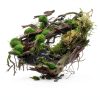 Aquarium Glue Bondtech Clear Reef Adhesive for Plants Rocks Moss Coral-3