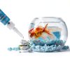Aquarium Glue Bondtech Clear Reef Adhesive for Plants Rocks Moss Coral-1