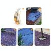 Rock Glue for Landscaping 27oz Sprayer by Shabebe Water-Based Adhesive-7