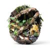 Aquarium Glue Bondtech Clear Reef Adhesive for Plants Rocks Moss Coral-4