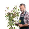 Mulch Glue Teexpert Adhesive – Durable for Pine Straw & Mulch-6